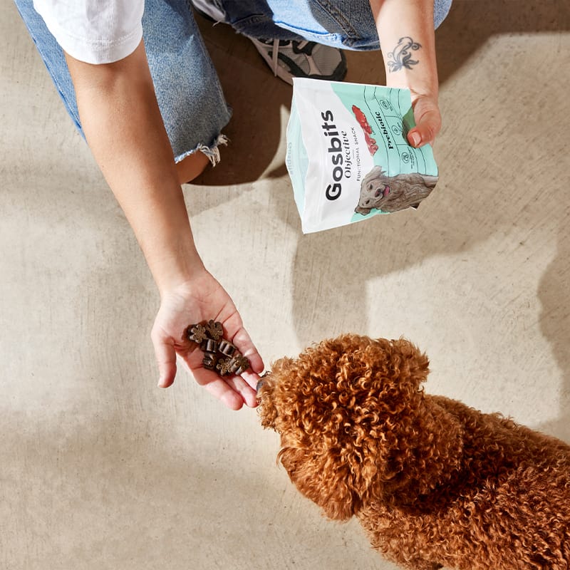 Objective Dog Adult Prebiotic